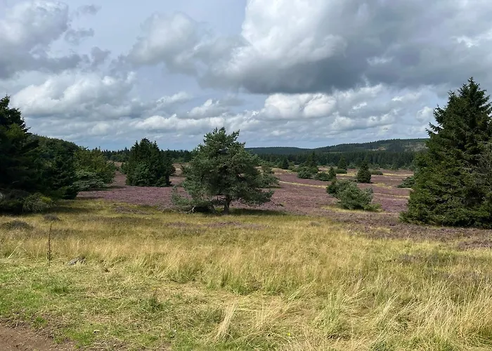 Appartamento Uplandblockhaus *